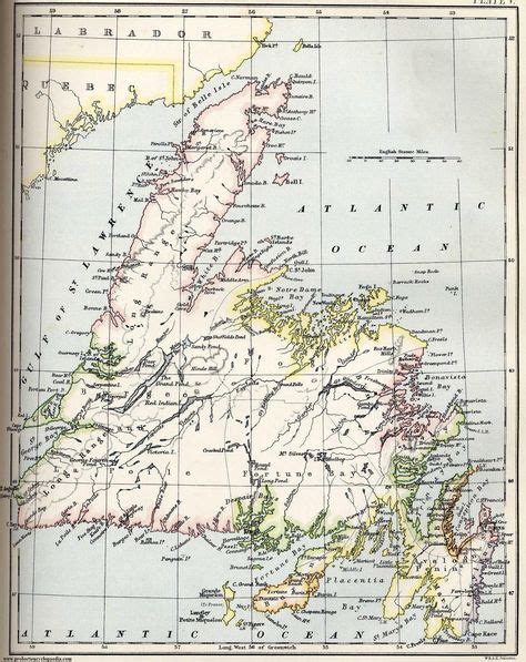 Map of Newfoundland 1884 | Newfoundland map, Newfoundland, labrador ...