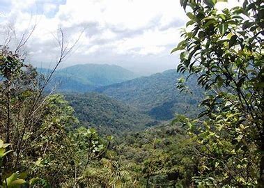 Gunung Angsi Loop (Malaysia) | Fastest Known Time