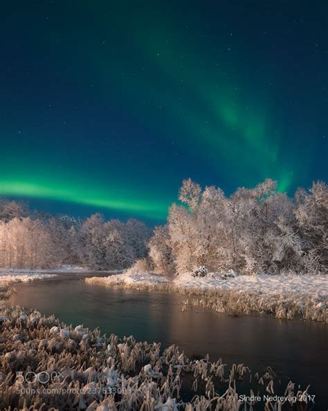 Winter Wonderland Lights by sindren | Winter wonderland lights, Beautiful landscapes, Science ...