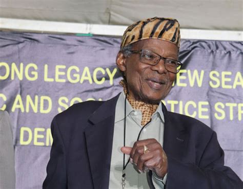 SOUTH AFRICA: Buthelezi, 90, finally steps down as Inkatha Freedom ...