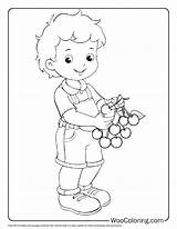 100  Cherry coloring Pages Free PDF To Print Woo Coloring sketch template