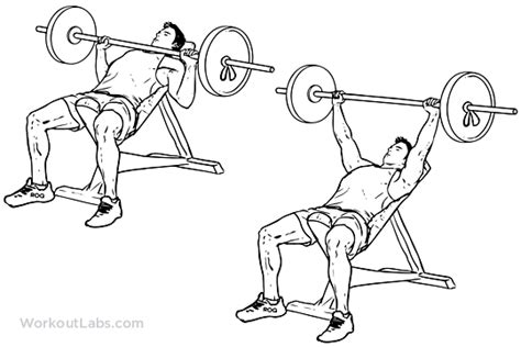 Incline Barbell Bench Press | Illustrated Exercise guide - WorkoutLabs