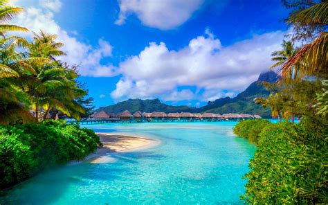 bora bora resort beach french polynesia mountain palm trees sea summer ...