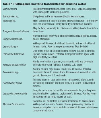 Bacteria 101 - WCP Online