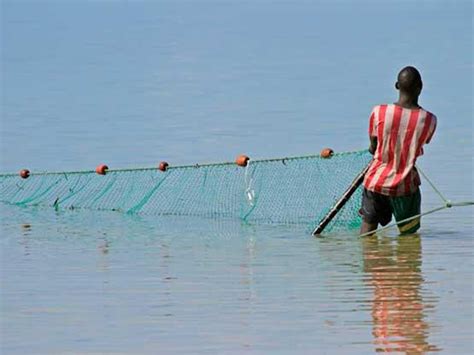 The History of Seine Fishing | US Harbors