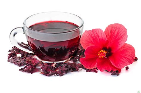 Hibiscus Tea - Uses, For Blood Pressure & Blood Cholesterol