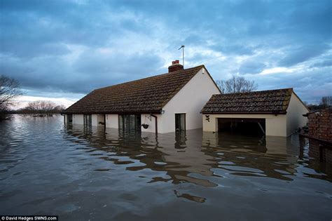 Reflecting on the flooding: Photographers capture stunning images of the submerged Somerset ...