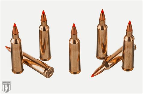 22-250 vs 223: Hunting Caliber Comparison by Ammo.com