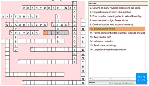 How to learn anatomy while playing games | Kenhub