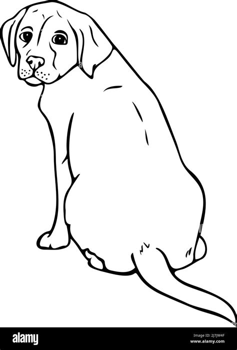 Labrador retriever cartoon coloring book Cut Out Stock Images ...