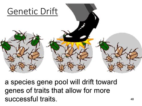 Genetic Drift