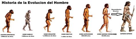 Preguntas Sobre La Evolucion Del Hombre En Modo - Moda de Hombre