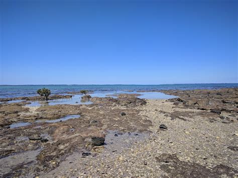 French Island National Park - French Island VIC 3921, Australia