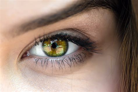 Curiosidades que no sabías sobre tus ojos - Usalentillas