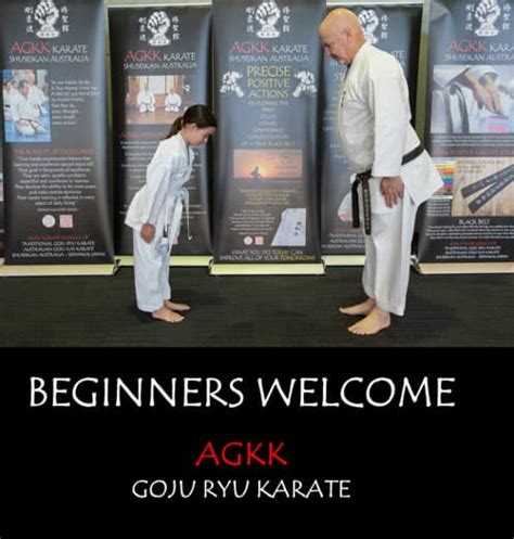 Karate Classes, Lessons for Beginners, Martial Arts Classes for Beginners