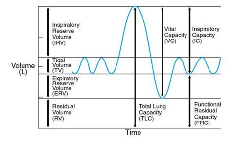 Respiratory Cheat Sheet by mkravatz - Download free from Cheatography - Cheatography.com: Cheat ...