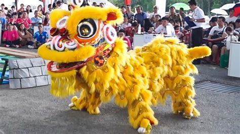 Tarian Singa Di Malaysia : International Lion Dance Competition 2016 Part 25 - YouTube