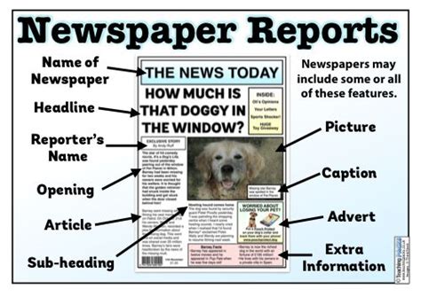 Newspaper Report Writing Sample | PDF Template