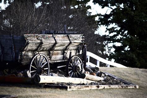 Farm Wagon Decorated For Christmas | Shelly Lighting