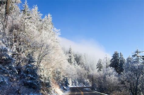 Clingmans Dome Rd Snow 1 photo - Rich Stevenson photos at pbase.com