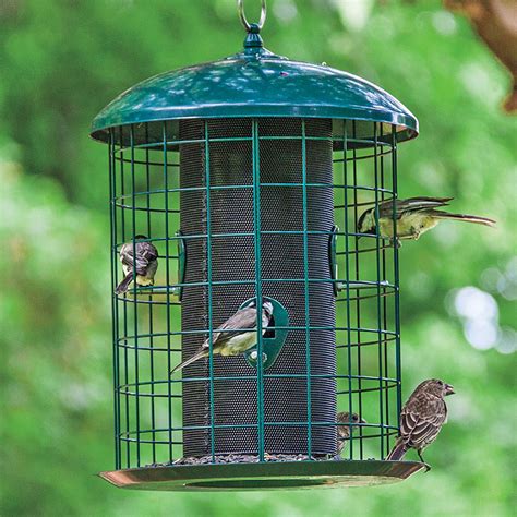 Squirrel Proof Caged Feeder Backyard Birding From Gardens Alive 77112 ...