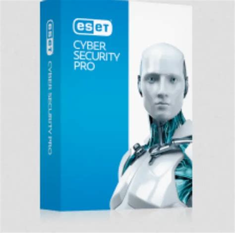 Eset Cyber Security Product at best price in Vadodara by Rachaita ...