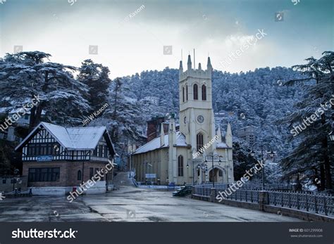 678 Shimla Snow Trees Images, Stock Photos, 3D objects, & Vectors ...