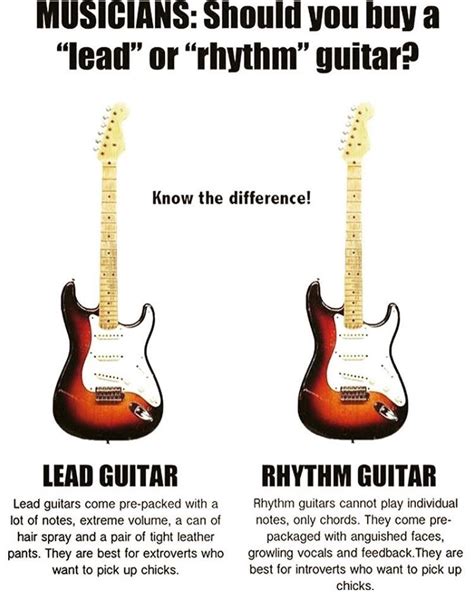 [BEGINNER] Should I get a Lead or Rhythm Guitar??? : r/guitarcirclejerk