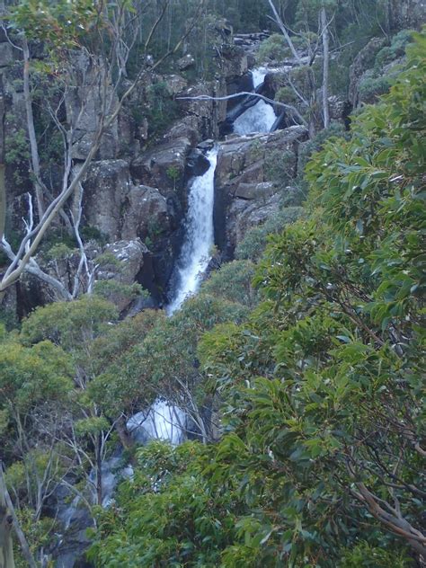 Wellington Falls Circuit | Hiking South East Tasmania