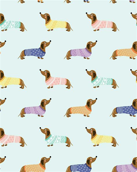 Dachshund | Dachshund wallpaper, Dog wallpaper, Dog illustration