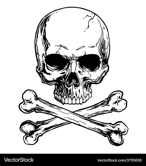 Skull and crossbones Royalty Free Vector Image