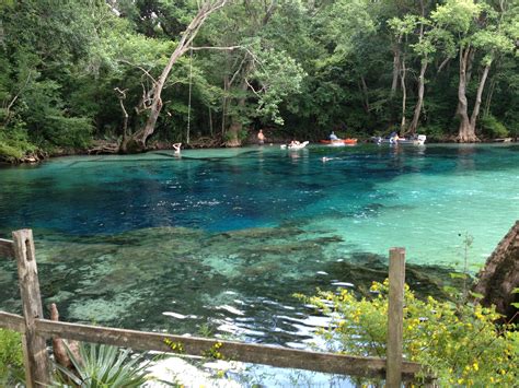 Cypress Springs, Vernon, Florida | Places to travel, Places to visit ...