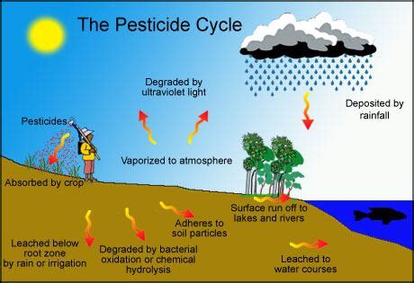 Pesticides and its effects on Environment - Cultivation Of Crops