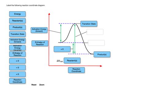 Solved Label the following reaction coordinate diagram. | Chegg.com