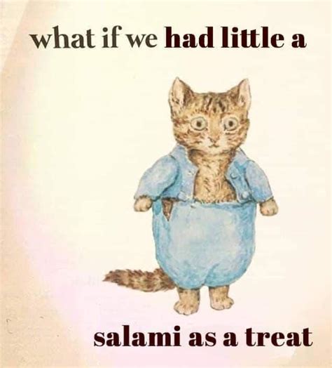 Yes Indeed, Cats Can Have A Little Salami (27 Memes)