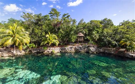 Guía completa para visitar el Cenote Azul en Riviera Maya - Tours la ...