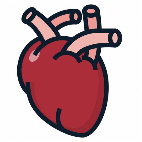 Anatomy Heart Organ Icon Download On Iconfinder | Images and Photos finder