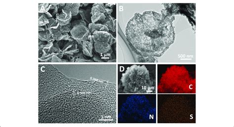 | (A) Scanning electron microscopy image of H-2D-HCA; (B) Transmission... | Download Scientific ...