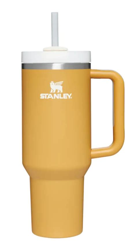 The NEW Stanley Mug | Everything you need to know! – The Modern Mindful Mom