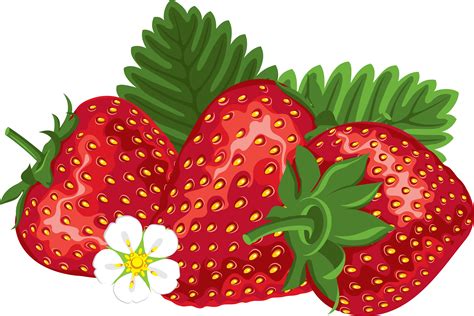 Strawberries clipart four, Strawberries four Transparent FREE for download on WebStockReview 2023