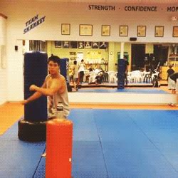 Martial Arts GIFs | Others