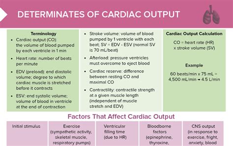 Cardiac Output