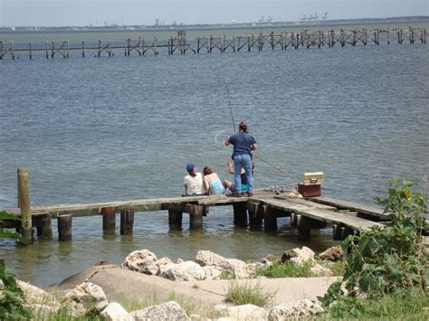 Galveston Fishing Guide: Best Fishing Spots in Galveston