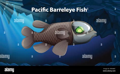 Pacific Barreleye Fish Vector Design illustration Stock Vector Image ...