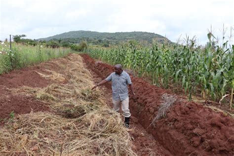 Kenya’s Dryland Farmers Embrace Regenerative Farming to Brave Tough Climate | Inter Press Service