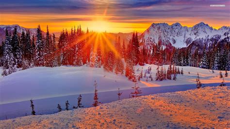 Winter Sunset Wallpaper (74+ pictures) - WallpaperSet