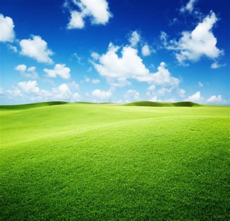 Free shipping grassland Blue sky Green Lawn Couple Lover photography backdrops Wedding ...