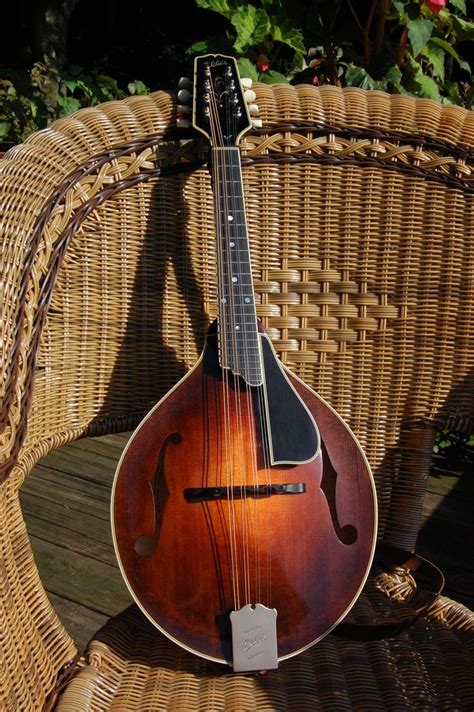 MandoLessons | Free Online Mandolin Lessons | Mandolin lessons, Guitar, Acoustic guitar