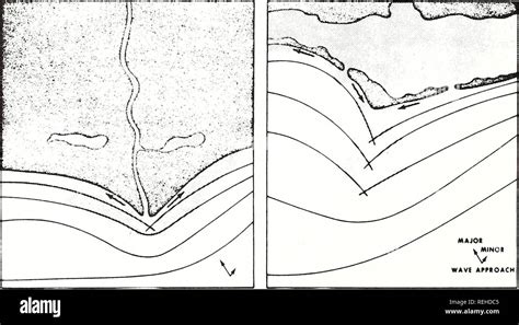 Arcuate Delta Diagram