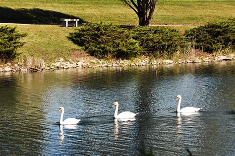 CEMETERY - Michigan Memorial Funeral Home